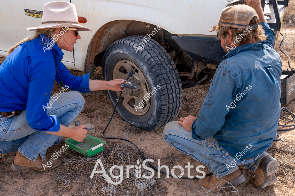 Two people in blue denim work attire are crouched beside a white vehicle, carefully working on a tire in what appears to be a dry, dusty rural setting. A woman wearing a white wide-brimmed hat and sunglasses is using a green device, likely an air compressor, to inflate or check the tire pressure. Her companion, wearing a brown mesh-backed cap, is positioned nearby, assisting or observing the process. The rugged all-terrain tire has a deep tread pattern suitable for rough rural terrain, and the surrounding ground is covered in sparse, dry grass and dirt. Their coordinated, practical approach suggests they are experienced agricultural workers dealing with vehicle maintenance in a remote location, demonstrating the self-sufficiency required in rural and farming environments.