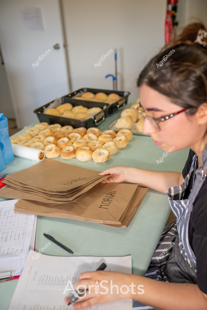 A woman in glasses and a striped apron carefully prepares multiple batches of freshly baked bread rolls, arranging golden-brown pastries on trays and sorting brown paper bags in a commercial kitchen setting. Multiple baking trays are filled with perfectly round, uniform bread rolls with a warm, appetizing golden color. A clipboard and pen are visible on the work surface, suggesting systematic preparation and inventory tracking. The scene captures the methodical process of commercial baking, with precise arrangement and organization of baked goods ready for packaging. The kitchen environment appears clean and organized, with a mint-green work surface providing a neutral backdrop to the warm-toned bread rolls.