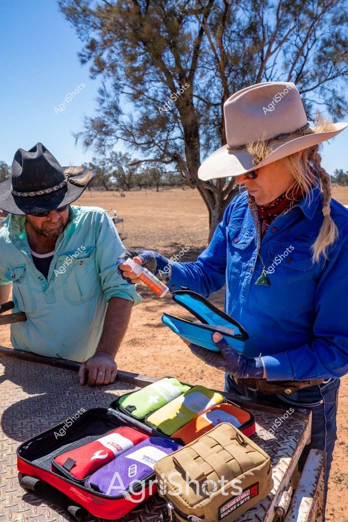 A woman and a man wearing wide-brimmed bush hats are working together in a dry, sun-drenched rural landscape, performing what appears to be a field medical or veterinary procedure. The woman, dressed in a bright blue work shirt, is carefully handling a medical implement while the man in a light blue shirt looks on. They are standing at a vehicle or utility tray with an organized first aid or field medical kit spread out, featuring several color-coded pouches and equipment.

The background shows a classic Australian outback scene - sparse trees with a dusty, golden-brown ground stretching to the horizon under a clear blue sky. Their professional demeanor and well-organized equipment suggest they are likely agricultural workers, possibly veterinarians, researchers, or station staff conducting animal health checks or emergency field treatment.

Their clothing - sturdy work shirts, protective hats, and practical work gear - is typical of rural Australian professionals who must be prepared for challenging outdoor conditions. The scene captures the meticulous and prepared nature of modern agricultural work, where health monitoring and rapid response are critical to maintaining livestock and farm operations.
