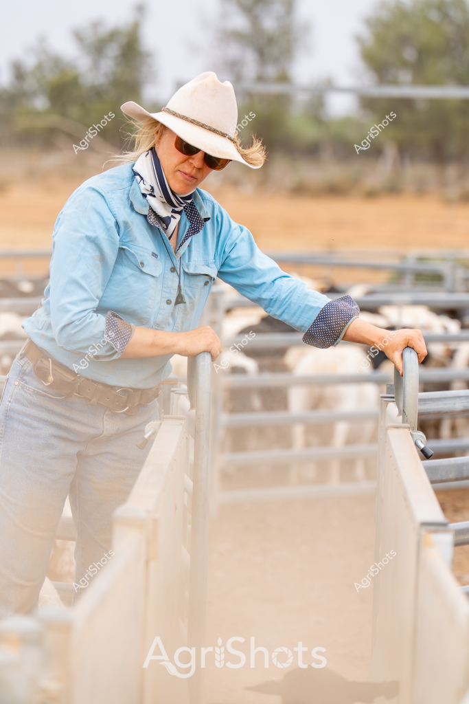 A woman stockman leans over metal livestock yards in an arid Australian pastoral landscape, wearing classic rural work attire. She's dressed in a light blue long-sleeved shirt with polka dot trim, crisp white trousers, a beige belt, and a wide-brimmed cream cowboy hat that shields her sunglasses from the harsh outback light. The surrounding environment appears dry and sparse, with scattered trees and golden-brown grasslands typical of inland Australian farming regions. Her posture suggests focused concentration as she works with the livestock yards, her hands gripping the metal rails with practiced ease. The scene captures the essence of contemporary Australian agricultural work - a professional woman managing livestock in a challenging rural environment, demonstrating the skill and resilience of modern farmers.