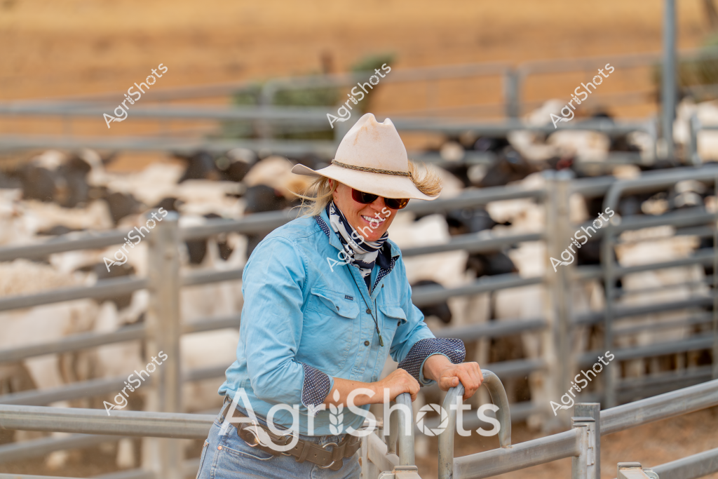 A woman livestock manager stands at the cattle yards, leaning on a metal gate with a herd of cattle visible in the background. Wearing a light blue work shirt, a cream-colored wide-brimmed hat, and sunglasses with a patterned neck covering, she embodies the professional rural worker. The paddock behind her appears dry and golden, typical of an Australian pastoral landscape, with wooden and metal fencing defining the stock yards. Her posture suggests focused attention, with hands resting on the gate as she surveys the livestock. The scene captures the essence of Australian cattle farming - a skilled worker managing livestock in an expansive, sun-drenched rural environment, demonstrating the resilience and practical expertise of agricultural workers.