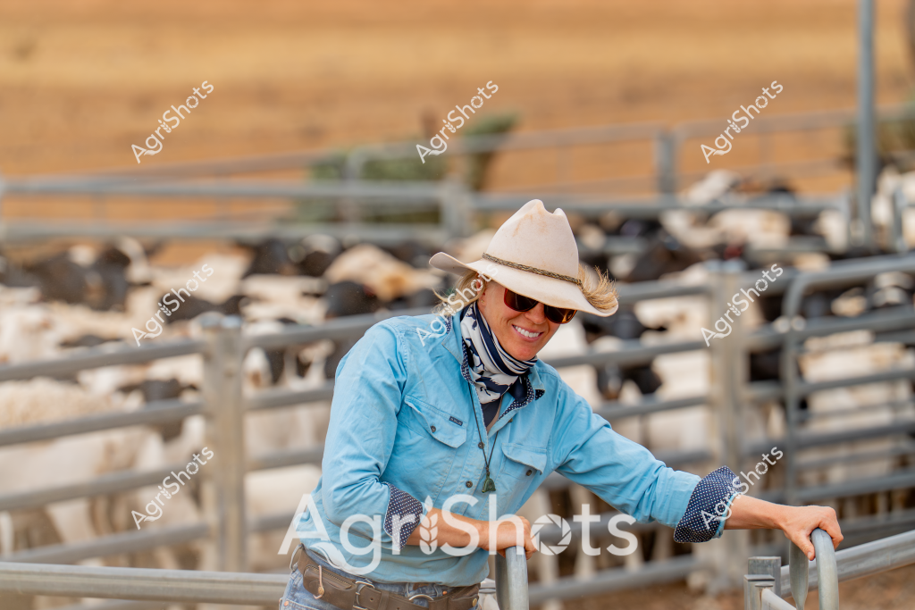 A woman stockman in a light blue work shirt, white cowboy hat, and sunglasses leans confidently against a metal livestock yard fence, with a herd of sheep visible in the background. The dusty paddock setting suggests a rural Australian property, likely during a warm, dry season with golden-hued grasslands stretching behind the metal cattle yards. Her relaxed posture and protective clothing - including a patterned neck scarf and practical work attire - indicate an experienced agricultural worker managing livestock. The metal yard fencing creates a structured boundary, typical of professional stock handling facilities, with multiple pens and gates visible. Her comfortable stance and smile suggest a sense of pride and connection to the agricultural landscape, embodying the resilience and expertise of Australian rural workers.