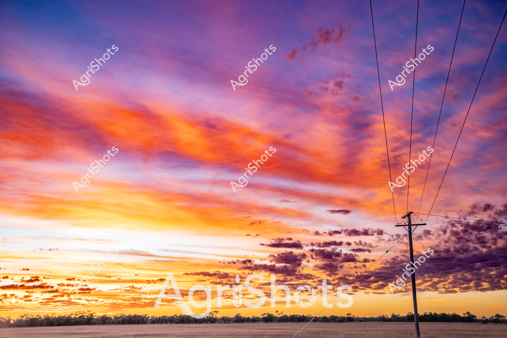 A spectacular sunset illuminates the Australian rural landscape, transforming the sky into a breathtaking canvas of vibrant oranges, deep purples, and luminous yellows. Electrical power lines slice vertically through the right side of the image, providing an industrial contrast to the dramatic natural scenery. The horizon is lined with a silhouette of distant trees, creating a dark boundary beneath the explosive cloudscape. Streaks of clouds are painted in dramatic layers, ranging from intense crimson to soft lavender, with the lower horizon glowing in warm golden tones. The expansive sky dominates the composition, showcasing the incredible atmospheric conditions typical of the Australian outback or rural plains. The scene captures the magical transition between day and night, with the cloudformations creating a sense of immense depth and movement across the wide-open landscape.