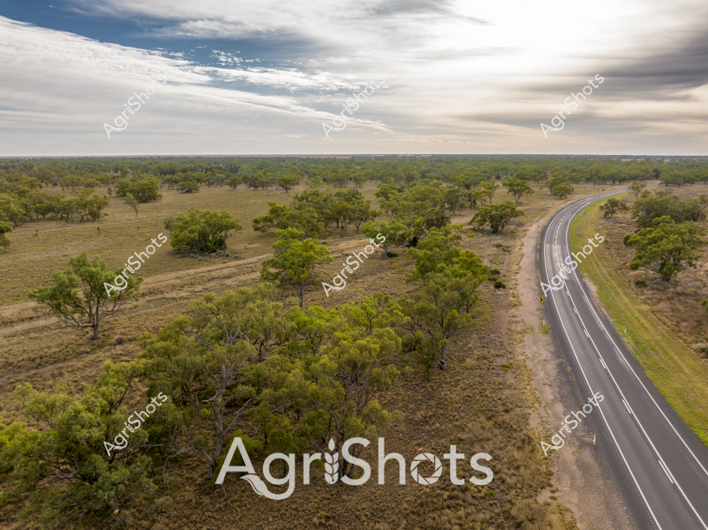 A sweeping rural landscape captures the essence of the Australian outback, with a winding bitumen road cutting through a sparse woodland setting. Scattered eucalyptus trees with silvery-green foliage dot the undulating terrain, creating a patchwork of grasslands and woodland. The landscape appears typical of inland Queensland or New South Wales, with a mix of open pasture and tree-covered areas. A gently curving highway stretches into the distance, its smooth black surface contrasting sharply with the muted greens and browns of the surrounding countryside.

The sky is a dramatic canvas of soft cloud formations, with layers of white and blue creating a sense of depth and atmosphere. Subtle variations in the terrain suggest this is a gently rolling pastoral region, likely used for grazing or extensive agriculture. The trees appear drought-resistant, typical of Australian native species that can survive in challenging environmental conditions.

The scene captures the vast, open nature of Australian rural landscapes - a sense of space, resilience, and natural beauty that defines the continent's agricultural heartlands. The road symbolizes connection, winding through the landscape and hinting at the distances traversed in rural Australia.