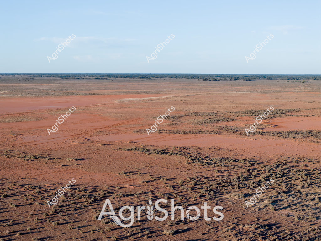 An expansive arid landscape stretches across the image, revealing the harsh, rust-colored terrain of the Australian outback. The ground appears deeply cracked and parched, with scattered low scrub and sparse vegetation breaking the monotony of the red-orange earth. Thin tracks cut across the landscape, indicating minimal human or vehicle movement through this challenging environment. The horizon is a flat line where reddish-brown ground meets a pale blue sky, creating a sense of vast, uninterrupted space typical of Australia's inland regions. This image powerfully captures the stark beauty and extreme conditions of a drought-affected agricultural landscape, demonstrating the challenging environment faced by farmers and graziers in Australia's interior.

The texture of the ground suggests significant water stress, with intricate patterns of cracking and erosion visible across the wide-open space. Sparse, resilient vegetation clusters in small groups, highlighting the landscape's minimal moisture and harsh growing conditions. The scene epitomizes the resilience required in Australian agricultural practice, where farmers must adapt to some of the most challenging environmental conditions on the planet.