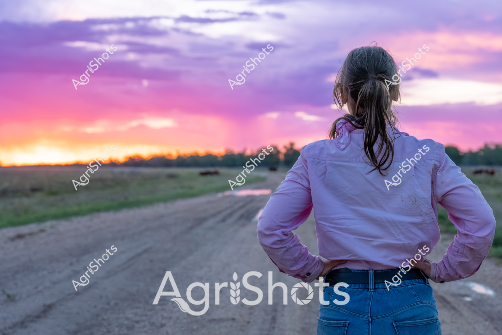 A woman stands with her back to the camera, gazing across a rural landscape at sunset. Her ponytailed hair and light purple button-up shirt contrast beautifully against the stunning sky, which blazes with vibrant pink, purple, and golden hues. A dirt road stretches before her, leading through a flat grassland with trees silhouetted on the distant horizon. The scene captures a moment of quiet contemplation, with the dramatic evening light creating a sense of possibility and peaceful reflection. Her posture suggests determination and a connection to the rural environment, hands positioned confidently on her hips as she surveys the expansive agricultural landscape.