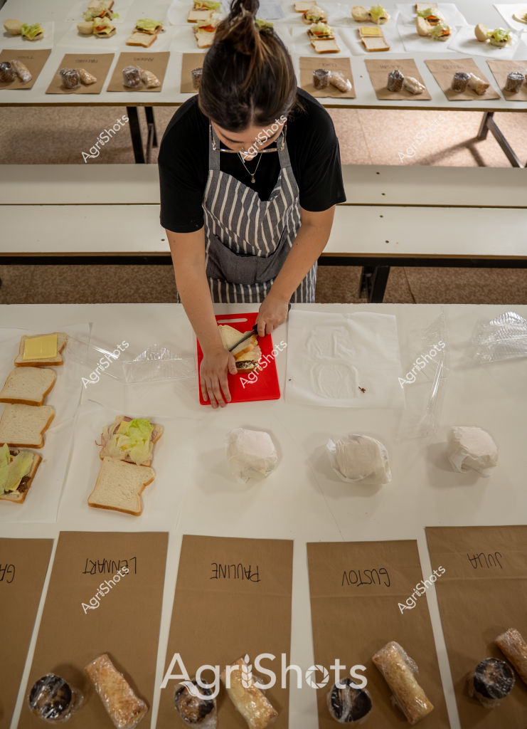 A woman in a striped apron and black t-shirt meticulously prepares a series of sandwiches in a professional kitchen setting. Multiple prepared sandwich components are systematically arranged on white surfaces and brown paper stations, suggesting a methodical food preparation process. Bread slices, fresh ingredients, and what appear to be wrapped items are carefully positioned across different workstations, indicating a precise culinary workflow. The scene reveals careful attention to detail, with the woman focusing intently on her task at a red cutting board. Pristine white surfaces and organized ingredient placement highlight the professional and hygienic nature of the food preparation environment.