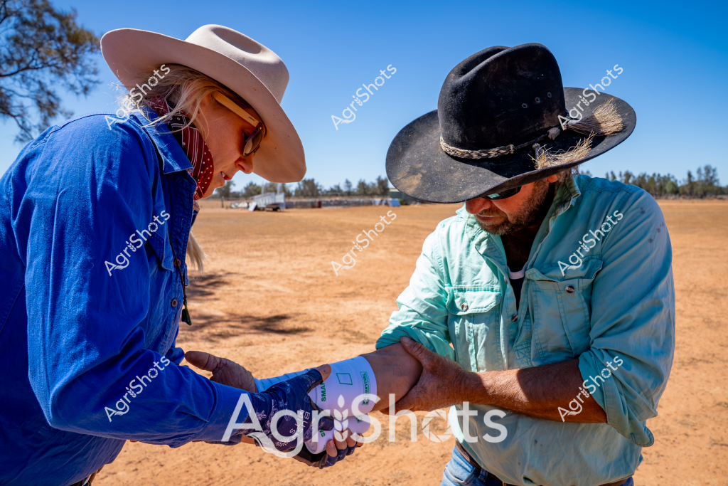 Two people stand in a dry, sun-drenched rural landscape, engaged in a close interaction. A woman wearing a blue long-sleeved shirt and a light cream cowboy hat is carefully examining the arm of a man in a light blue-green shirt and a dark wide-brimmed hat. Their posture suggests a professional medical or veterinary assessment, with the landscape of dusty ground and sparse trees in the background indicating an outback or rural Australian setting.

The scene appears to capture a moment of agricultural health monitoring, potentially a routine check or treatment process. Both individuals are wearing protective work clothing typical of rural Australian settings - sturdy shirts, wide-brimmed hats for sun protection, and work gloves. The bright blue sky and arid ground suggest a hot, dry day in a farming or station environment.

Their focused body language and close proximity indicate a professional interaction, likely related to livestock health, farm work, or medical assessment. The landscape behind them is characteristic of Australian agricultural regions - open, sparse, with a sense of expansive remote terrain typical of cattle stations or rural properties.