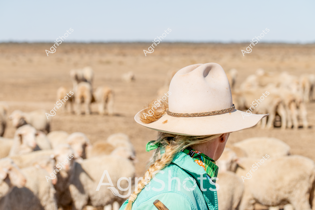 A woman stockman wearing a wide-brimmed cream Akubra hat and a turquoise tropical-patterned shirt stands with her back to the camera, overlooking a large flock of woolly sheep across a dry, golden landscape. Her braided hair is visible beneath her hat, and she appears to be watching over the sheep grazing in the expansive paddock. The pastoral scene captures the essence of Australian sheep farming, with the wide-open terrain stretching to a hazy horizon, highlighting the vastness of rural agricultural landscapes. The soft beige and khaki tones of the grasslands contrast beautifully with her bright shirt, creating a striking visual representation of life on an Australian sheep station. The woman's stance suggests a calm, attentive approach to livestock management, embodying the resilience and skill of rural workers.