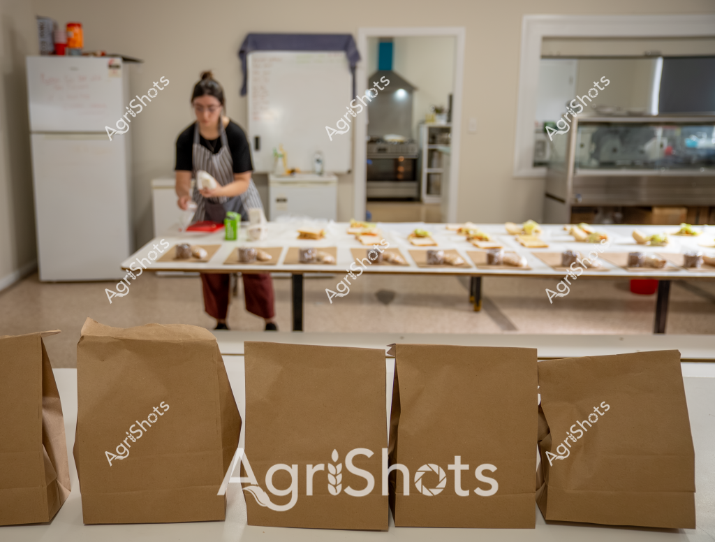 A woman in a striped apron works intently in a commercial kitchen, preparing multiple food orders on a long stainless steel workbench. Several brown paper takeaway bags are positioned in the foreground, ready for delivery or pickup. Behind her, multiple plated meals are carefully arranged in rows, suggesting a systematic food preparation process. The kitchen environment is clean and professional, with a white refrigerator and stainless steel equipment visible in the background. The woman appears focused, methodically assembling and packaging meals with precision, highlighting the behind-the-scenes work of food service and catering operations.