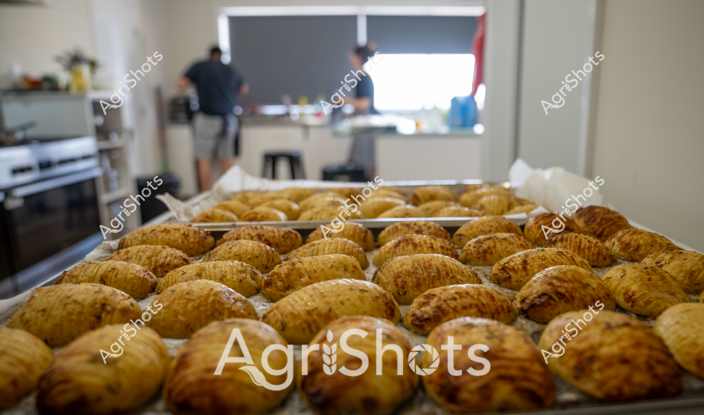 Here's a detailed description focusing on the agricultural production scene:

Golden-brown roasted potatoes cover multiple large baking trays in a commercial kitchen preparation area. The potatoes appear uniformly seasoned and evenly cooked, suggesting professional food processing or catering preparation. In the blurred background, two individuals can be seen working in the kitchen space, indicating an active food production environment. The trays are arranged methodically on metal cooling racks, with each potato displaying a consistent golden-brown coloration and crisp exterior texture. The kitchen setting looks clean and organized, with stainless steel equipment and neutral-toned walls visible. The density and precision of the potato arrangement suggests this is likely a commercial food preparation setting, potentially for a restaurant, catering service, or institutional food service operation.