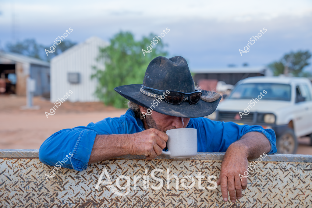 A weathered rural scene captures a man in a blue shirt and black wide-brimmed hat taking a contemplative coffee break. Leaning against a textured metal surface, he sips from a white mug while wearing sunglasses, creating a moment of quiet pause in a rural Australian setting. Behind him, a white utility vehicle and rural buildings suggest a farm or station environment. The overcast sky and sparse landscape hint at the challenging conditions of outback or rural Australia. His worn hands and classic bush attire - the iconic hat, blue work shirt, and sunglasses - speak to the resilience of Australian rural workers who endure long days and tough environmental conditions.

The image embodies the spirit of rural Australian work culture: a moment of brief respite during a demanding day, surrounded by the practical infrastructure of farming life. The textured metal surface, dusty background, and understated posture of the worker convey a sense of quiet strength and endurance typical of agricultural communities.