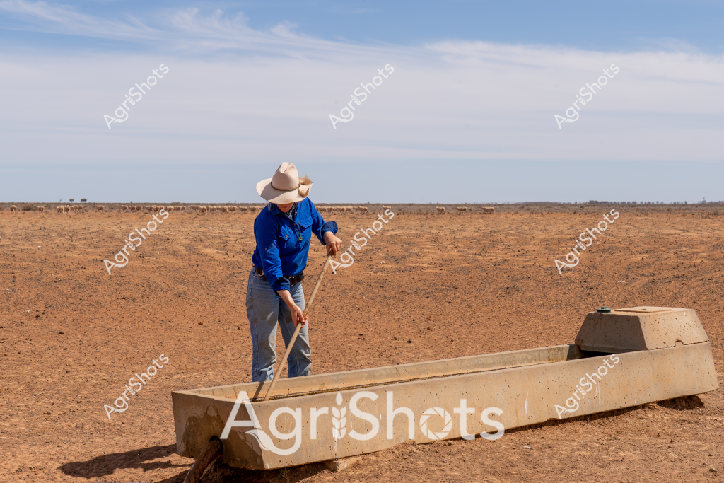 A man farmer stands beside a long concrete water trough in a dry, expansive pastoral landscape, wearing a light-colored wide-brimmed hat and a bright blue long-sleeved work shirt. The ground is a rich terracotta-colored earth, parched and cracked, stretching to a distant horizon where a small herd of cattle can be seen grazing. The concrete trough, a critical water infrastructure element, runs lengthwise across the foreground, with the farmer carefully using a long pole to manage or clean the water supply. The sky is a soft pale blue with wispy clouds, suggesting a hot, dry day typical of Australian agricultural regions during drought conditions. This image captures the resilience of farmers working in challenging environmental conditions, highlighting the importance of water management and infrastructure in sustaining livestock in arid landscapes.