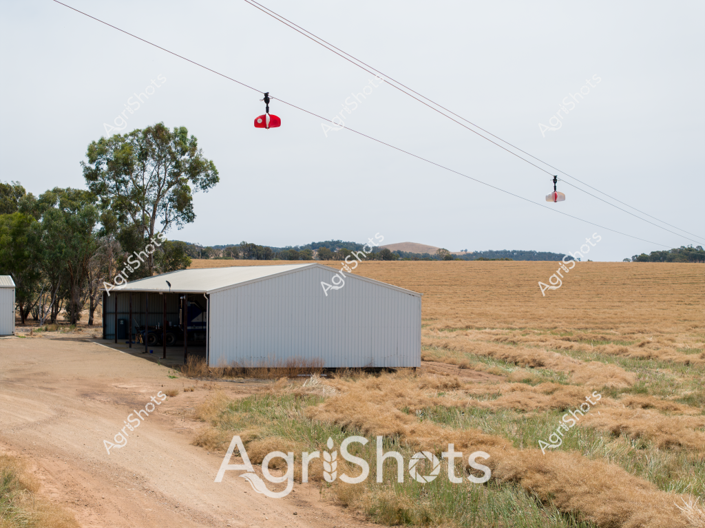 A rural agricultural scene capturing a classic farm shed set against a dry, golden landscape. Two red markers hang from overhead power lines, suggesting a potential livestock or crop monitoring system. The corrugated iron shed stands solidly beside a dirt track, with dried grass and sparse trees surrounding the structure. The landscape reveals rolling hills in the background, typical of an Australian agricultural region during a dry season. The muted color palette of browns, grays, and soft greens speaks to the challenging environmental conditions, likely indicating a period of drought or late summer when pastures have been heavily grazed or harvested.

The landscape embodies the resilience of Australian farming - a stark, functional setting where infrastructure and environment coexist with minimal embellishment. The power lines, shed, and surrounding terrain create a composition that speaks to the practical, no-nonsense approach of rural agricultural operations.