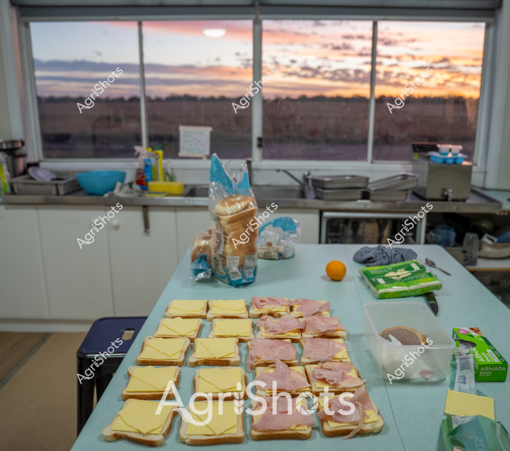 Based on the image and agricultural stock photography guidelines, here's a description:

A commercial kitchen workspace prepares multiple sandwiches during early morning hours, with a stunning sunset visible through large windows in the background. Neatly arranged bread slices are systematically layered with yellow cheese and pink ham, creating uniform sandwich portions on a pale blue work surface. Kitchen equipment, blue mixing bowls, and food packaging surround the preparation area, suggesting a professional food production setting. The golden-orange sunrise sky provides a beautiful backdrop, casting warm light across the meticulously organized workspace. The scene captures the precision and routine of food preparation, with each sandwich carefully constructed using standardized ingredients and techniques.