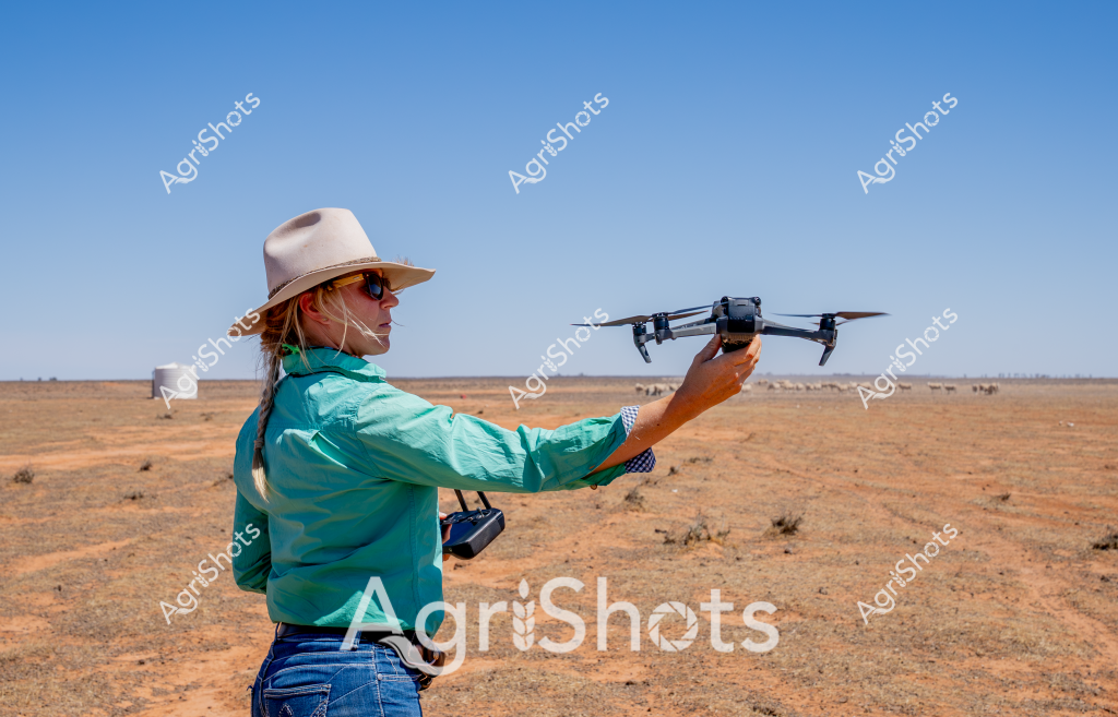 A woman in a teal shirt and wide-brimmed hat operates a drone in a sparse, arid Australian landscape. Standing amid reddish-orange earth with scattered low scrub, she holds a professional-grade quadcopter drone, preparing to launch it for aerial survey or monitoring purposes. Her blue jeans, sunhat, and sunglasses suggest practical agricultural field work attire, while the barren background indicates a potentially drought-affected region. In the distant background, a small herd of livestock can be seen grazing on the sparse vegetation, highlighting the challenging environmental conditions. The clear blue sky and open terrain emphasize the expansive nature of Australian agricultural landscapes, where technology like drones is increasingly used for farm management, crop monitoring, and livestock tracking.