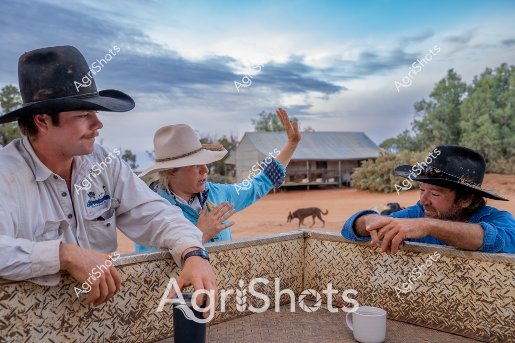 A group of three men in rural Australian attire - wide-brimmed hats and work shirts - gather around a textured metal fence at what appears to be a remote station property. A small dog walks in the dusty background near a weathered tin-roofed building, while one man gestures emphatically to his companions during their discussion. Wearing a black cowboy-style hat, a white work shirt, and a blue shirt respectively, the men lean casually against the fence, suggesting an informal yet purposeful conversation about station operations. The cloudy sky and arid landscape with sparse trees create a quintessential outback scene, capturing the collaborative spirit of rural Australian agricultural life. Their body language and setting communicate a sense of camaraderie and shared understanding of the challenging rural environment.