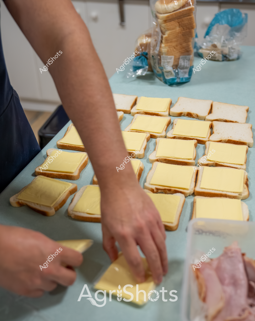 A woman's hands are carefully preparing a batch of cheese sandwiches in what appears to be a home kitchen. Multiple slices of white bread are neatly arranged on a light blue surface, with square yellow cheese slices placed precisely on each piece of bread. Bread bags and other ingredients are visible in the background, suggesting a sandwich preparation process. The image captures an orderly, methodical approach to making multiple sandwiches, with the hands positioned carefully to place each cheese slice with precision. The clean, organized workspace and systematic arrangement of ingredients convey a sense of careful food preparation.