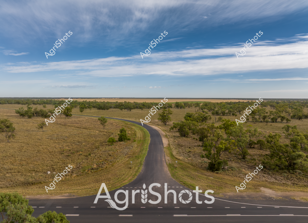 A winding rural road curves through a sprawling Australian landscape, cutting a smooth black asphalt path through golden grasslands and scattered eucalyptus woodland. The road follows a gentle bend, creating a striking visual perspective that draws the eye toward the distant horizon. Sparse trees dot the surrounding paddocks, their green canopies contrasting with the dry, sun-bleached grasses of what appears to be a typical Australian pastoral scene. Wispy cirrus clouds stretch across a vivid blue sky, creating a sense of expansive openness characteristic of the Australian countryside. The carefully constructed road suggests this is likely a key rural transport route, connecting agricultural properties and providing essential infrastructure for the region's farming communities.

The landscape reveals the quintessential Australian rural terrain - a mix of open grazing land and scattered woodland, typical of regions across Queensland, New South Wales, or Western Australia's agricultural zones. The curving road's smooth surface and clear markings indicate careful infrastructure planning, essential for supporting the agricultural activities that define these regions.