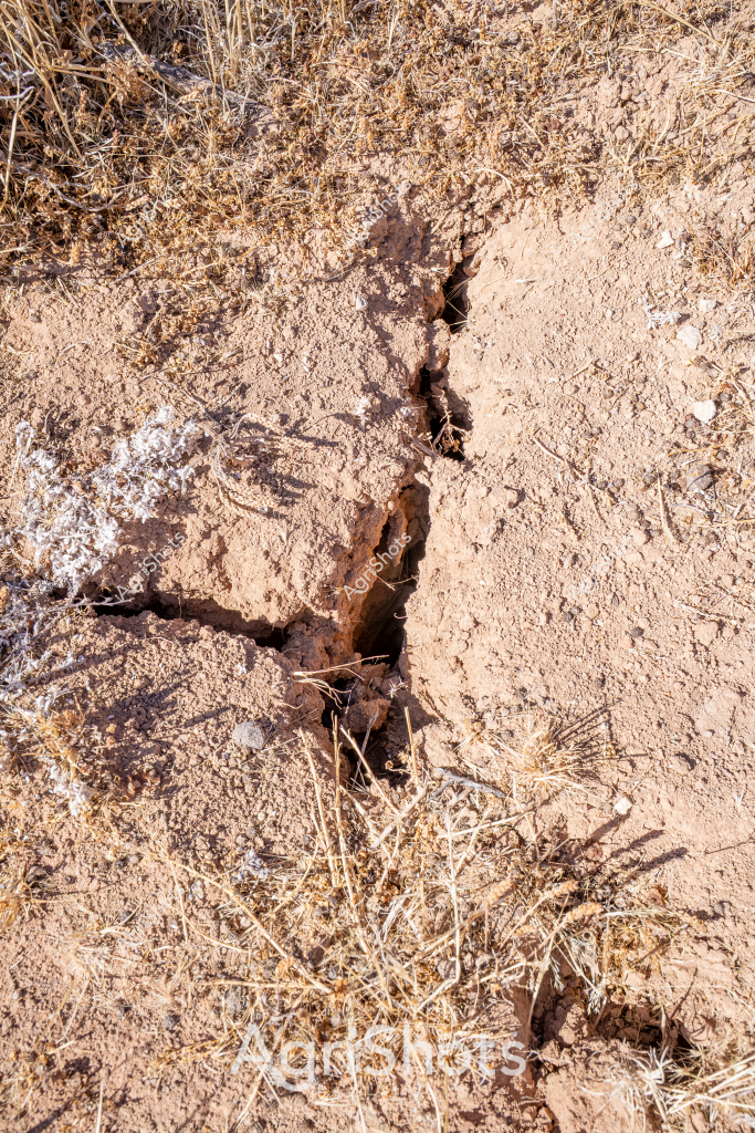 A deep, cracked earth reveals the harsh reality of drought conditions in this stark agricultural landscape. The ground is parched and fractured, with wide fissures splitting the dry, sandy soil, creating a network of deep crevices that stretch across the frame. Sparse, yellowed grass and dry vegetation cling to the edges of the cracking ground, highlighting the extreme dryness and water stress affecting the land. The earthy tones of tan, brown, and pale straw-colored vegetation emphasize the severity of the environmental conditions, presenting a raw and unforgiving portrayal of agricultural challenges during prolonged dry periods. This image powerfully captures the physical manifestation of drought, showing how the lack of moisture can literally tear the earth apart, creating a landscape that speaks to the resilience and hardship of Australian rural environments.