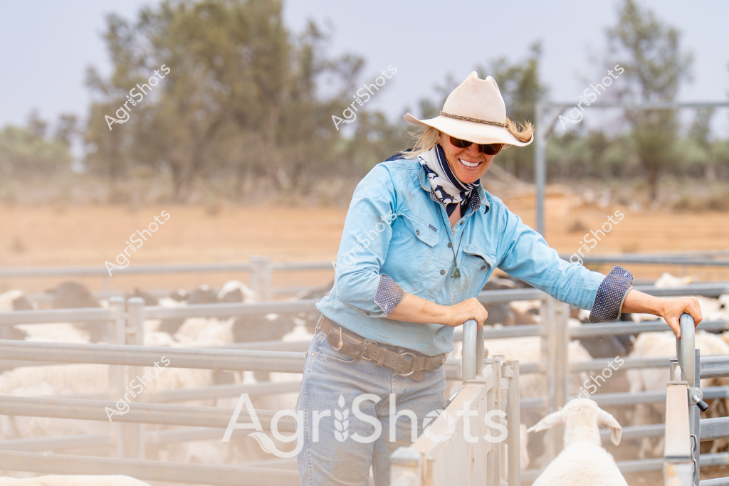A woman stockman stands confidently in a rural sheep paddock, wearing a light blue work shirt, cowboy hat, and sunglasses. She leans against a metal livestock gate with a herd of white sheep visible in the background, surrounded by dry bushland with scattered trees. The landscape suggests an arid or semi-arid region of Australia, with a golden-brown ground and sparse vegetation typical of pastoral areas. Her attire - a crisp chambray shirt, wide-brimmed hat, and relaxed posture - reflects the practical and resilient style of Australian rural workers. The scene captures the essence of contemporary agricultural work, where women play a significant role in livestock management and station operations. Her body language demonstrates a comfortable expertise, showing her connection to the land and the animals under her care.