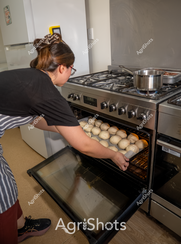 In this warm, domestic scene, a woman in a black top and striped apron carefully places multiple rounds of unbaked bread dough into an oven. The stainless steel gas stove reveals a neat kitchen environment, with a silver pot simmering on the stovetop. Her precise movements suggest careful preparation, potentially baking for a family meal or bakery production. The pale, uniform dough balls are neatly arranged on a baking tray, indicating a skilled and methodical approach to bread making. Her glasses and pulled-back hair communicate a practical, focused attitude toward culinary work, highlighting the art of home baking and food preparation.