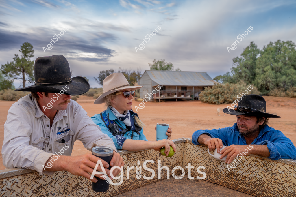 Three rural workers take a break at a remote outback station, sitting around a metal checkerplate surface with drinks and a piece of fruit. A weathered tin shed stands in the background amid sparse trees and reddish sandy ground, with dramatic cloudy skies overhead. The workers wear wide-brimmed bush hats - two black and one cream - and are dressed in work shirts in white and blue tones. A man on the left holds a dark beverage cup, a woman in the center wears sunglasses and holds a green apple, and a man on the right leans casually against the textured surface. Their relaxed postures and outdoor setting suggest a moment of rest during a long day of station work, capturing the resilient spirit of Australian rural life. The soft light and expansive landscape hint at the challenging but beautiful environment of the Australian agricultural interior.