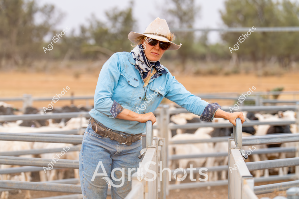 A woman stockman stands confidently beside sheep yards in a dry Australian rural landscape, wearing classic pastoral work attire. Dressed in a light blue long-sleeved chambray shirt with rolled cuffs, faded denim jeans, and a wide-brimmed cream cowboy hat, she leans against the metal livestock gates with sunglasses protecting her eyes from the harsh outback sunlight. The background reveals a sparse paddock with scattered trees and dusty ground, typical of arid agricultural regions. Her navy neck scarf and sturdy leather belt complete the practical workwear ensemble, highlighting the professional preparedness of contemporary Australian rural workers. She appears ready to manage livestock, with the metal cattle yards behind her suggesting an active agricultural setting during what seems to be a warm, dry season.