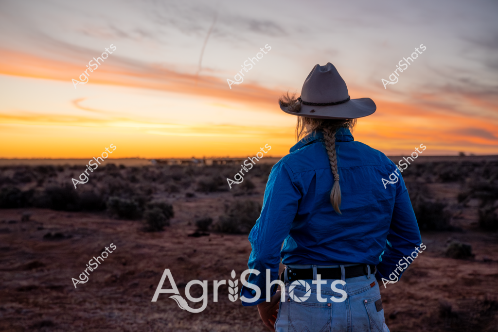 A woman stockman wearing a blue jacket and a grey cowboy hat stands with her back to the camera, gazing across a rugged desert landscape at sunset. Her braided hair hangs down her back as she surveys the sparse, scrubby terrain dotted with low bushes and scattered vegetation. The sky blazes with vibrant orange and yellow hues, creating a dramatic backdrop that silhouettes her figure against the expansive horizon. The scene captures the solitude and quiet contemplation of rural life, with the woman's stance suggesting a deep connection to the land and a moment of peaceful reflection at the day's end. The wide-brimmed hat and sturdy jacket speak to the practical attire of someone who works outdoors, embodying the resilience of those who make their living in Australia's challenging rural environments.