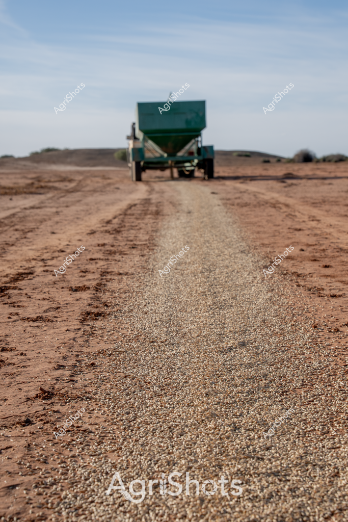 A green agricultural trailer sits on a dusty, gravel road in an arid rural landscape, creating a stark track of compacted material through the reddish-brown earth. The trailer appears to be a seed or fertilizer spreader, positioned in the middle distance with a blurred horizon of dry, sparse terrain stretching out behind it. The vehicle seems stationary, suggesting a momentary pause during agricultural work in what looks like a remote, drought-affected region. The landscape is characterized by its minimalist composition - a flat, sparse environment with muted earth tones of rust-red soil and a pale, washed-out blue sky. The gravel path created by the trailer's wheels provides a textural contrast to the surrounding dry ground, highlighting the precision and impact of agricultural machinery in challenging environmental conditions.

The image captures the essence of agricultural resilience, showcasing how farming equipment operates in harsh, marginal landscapes where every movement and resource is carefully considered. The green of the trailer stands out as a vibrant point of human intervention in an otherwise monochromatic natural setting.