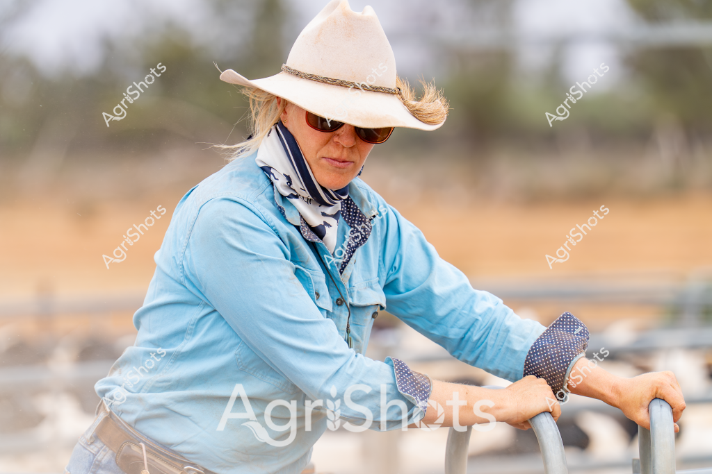A woman stockman wearing a white wide-brimmed cowboy hat, sunglasses, and a light blue long-sleeved shirt with rolled-up polka-dot cuffs stands leaning on a metal gate or fence. Her navy patterned scarf and rural Australian landscape in the background suggest she is working on a cattle or sheep station. The blurred dry grassland and scattered trees create a typical outback setting, with muted golden and beige tones indicating a potentially dry season. Her posture and attire reflect the practical, hardworking nature of Australian rural workers, showcasing the resilience and professionalism of women in agriculture. The soft focus and natural lighting emphasize the quiet concentration of her work, capturing a moment of contemplation or brief pause during a day of farm management.