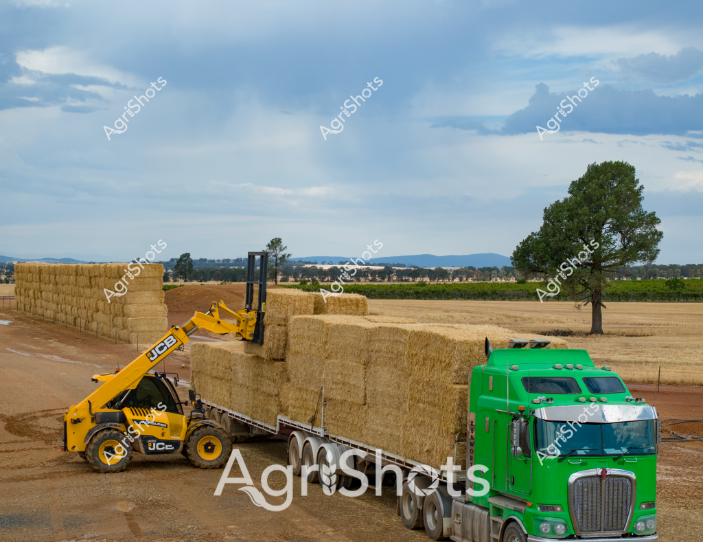 A precise agricultural scene captures hay baling and transport operations in a rural Australian landscape. A bright yellow JCB telescopic handler carefully stacks large rectangular hay bales onto a green semi-trailer, demonstrating modern agricultural logistics and machinery efficiency. The expansive golden stubble paddock stretches to distant mountain ranges, with a solitary green tree punctuating the horizon, creating a quintessential Australian rural panorama. Crisp blue skies with scattered clouds provide a soft backdrop to the agricultural activity, highlighting the precision of contemporary farming equipment and practices. The massive stacked hay bales - likely wheat or barley stubble - represent a critical stage in the post-harvest agricultural supply chain, where efficient machinery enables rapid processing and transport of agricultural produce. The stark contrast between the vibrant yellow machinery, green truck, and golden landscape epitomizes the technological sophistication of Australian agricultural operations.
