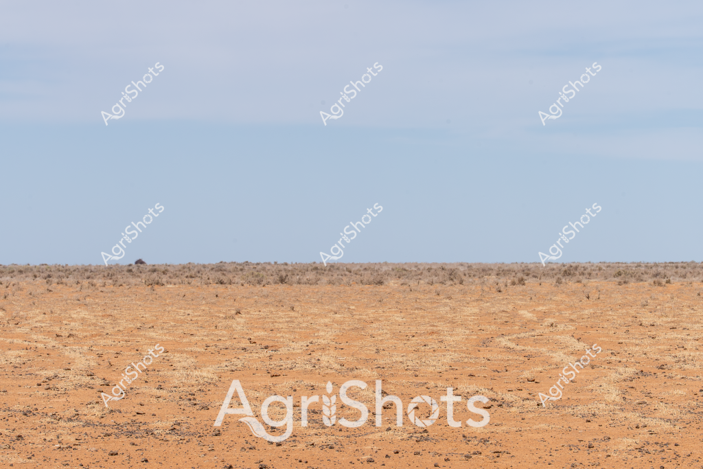 A barren, rust-colored landscape stretches beneath a pale blue sky, depicting an arid agricultural region experiencing severe drought conditions. The ground is parched and rocky, with sparse scattered low shrubs and minimal vegetation, creating a stark testimony to the harsh environmental challenges faced by Australian farmers. Small stones and compacted earth dominate the foreground, revealing a landscape that has been stripped of moisture and vitality. The horizon line is flat and uninterrupted, emphasizing the expansive and unforgiving nature of this drought-affected terrain. This image powerfully illustrates the environmental stress and resilience required in Australian agricultural landscapes, where farmers must constantly adapt to extreme climatic conditions.

The scene captures the raw, uncompromising reality of drought - a critical challenge for agricultural production in Australia's interior regions. The monochromatic palette of burnt orange, dusty brown, and pale blue communicates the severity of water scarcity and its profound impact on rural ecosystems and agricultural sustainability.