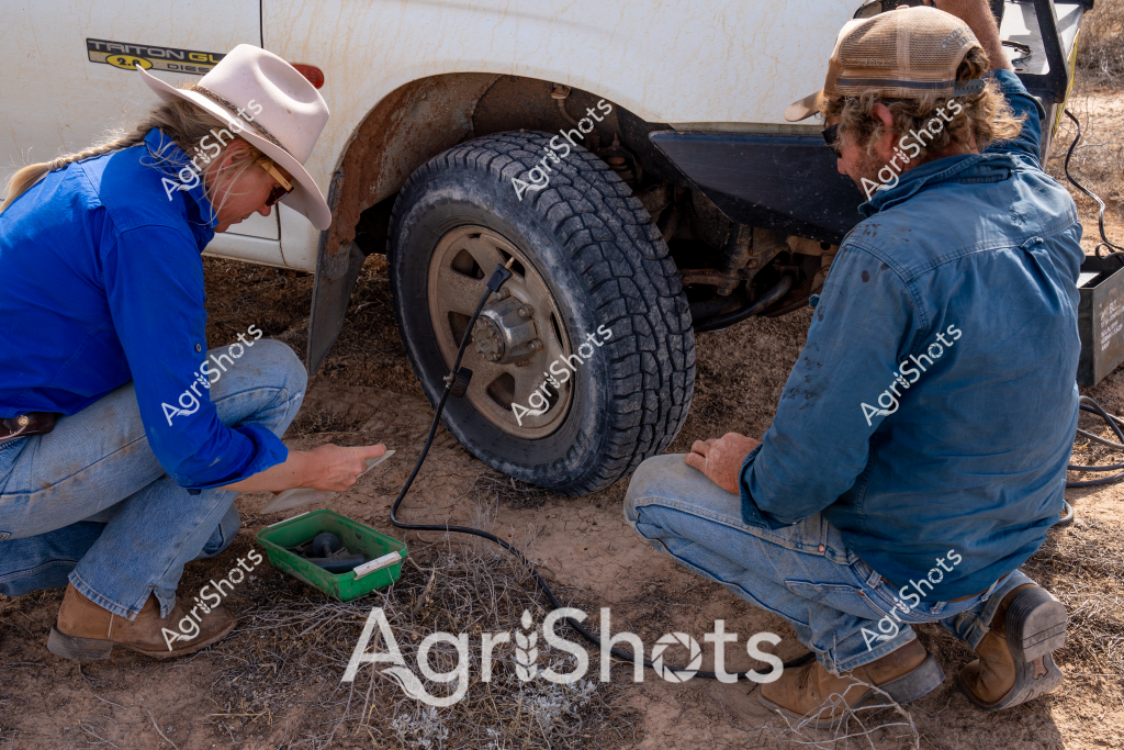 Two workers are carefully checking and inflating a tire on a white vehicle in a dusty rural setting. A woman wearing a white cowboy hat and blue long-sleeved shirt crouches on one side of the tire, while another worker in a denim jacket and cap sits on the opposite side. A green tool container is positioned nearby, suggesting a roadside repair or maintenance situation. The rugged terrain and casual work attire indicate this is likely taking place on a rural property or station, with the individuals demonstrating the practical problem-solving skills common in agricultural settings. Their close collaboration and focused postures highlight the teamwork required when dealing with unexpected mechanical issues in remote locations.

The chunky all-terrain tire appears to be mounted on a robust wheel rim, and the surrounding ground is dry and covered with sparse vegetation, typical of an Australian rural landscape. Both workers are wearing practical, durable clothing suited to outdoor work, with blue denim and layered tops that provide protection from the elements.