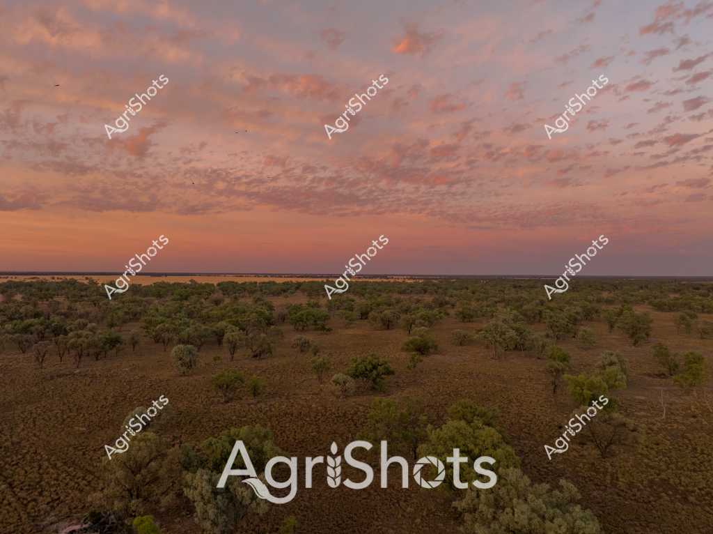 A stunning aerial landscape capturing the vast Australian outback at sunset, with a dramatic sky painted in soft pink and orange hues. Scattered eucalyptus and native trees dot the rugged terrain, creating a textured green and brown landscape that stretches to the distant horizon. The scene epitomizes the expansive and wild nature of Australia's interior, showcasing the resilient vegetation that survives in this challenging environment. Soft cloud formations create a mesmerizing pattern across the sky, casting gentle shadows over the undulating landscape below. The image captures the breathtaking beauty of Australia's rural wilderness, highlighting the subtle colors and intricate textures of the natural landscape during the magical golden hour. The wide-open spaces and sparse vegetation speak to the resilience of the Australian ecosystem, presenting a serene and timeless view of the continent's interior.