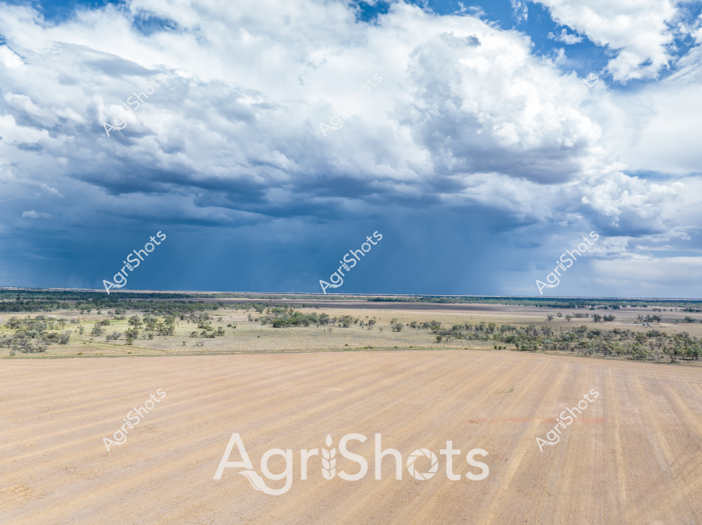 A dramatic rural landscape captures an approaching storm over the Australian agricultural heartland. Dark, towering cumulus clouds gather intensely on the horizon, creating a powerful contrast with the golden-brown harvested paddock in the foreground. The expansive field appears recently cleared, with neat parallel lines indicating mechanical harvesting, likely of wheat or another broad-acre grain crop. Scattered gum trees and native vegetation dot the middle ground, providing subtle green relief against the dry, wheat-colored terrain. The sky dominates the image, with deep blue-gray storm clouds promising imminent rainfall over the parched landscape, highlighting the dramatic and unpredictable nature of Australian agricultural environments. The wide-open vista represents the vast, resilient agricultural landscapes that characterize rural Australian farming regions, where weather and climate are constant companions to agricultural production.