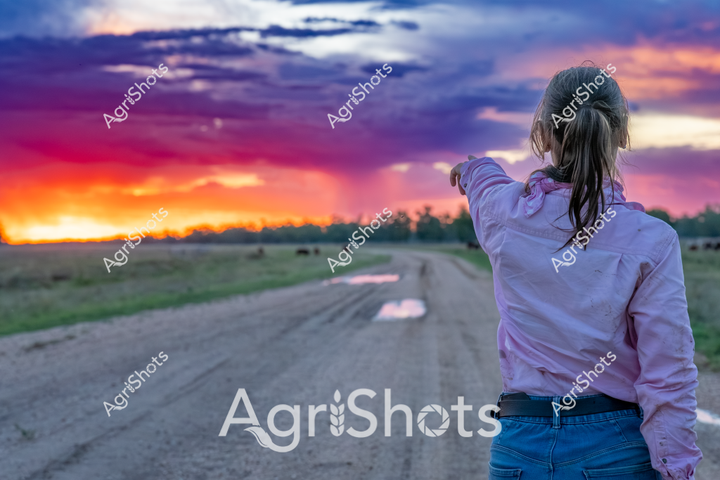 A woman stands with her back to the camera, gazing across a rural landscape at a breathtaking sunset. Her ponytailed hair and light purple long-sleeved shirt contrast against the dramatic sky, which explodes with vibrant colors - deep crimson, fiery orange, and rich burgundy clouds stretching across the horizon. The gravel road stretches into the distance, reflecting soft sunset hues, with grasslands and distant treelines creating a sense of expansive rural Australian terrain. Her outstretched arm suggests a moment of quiet contemplation, capturing the serene beauty of an evening in the countryside. The scene evokes a sense of solitude, wonder, and connection to the natural landscape, with the golden-orange sunlight casting a warm glow across the tranquil rural setting.