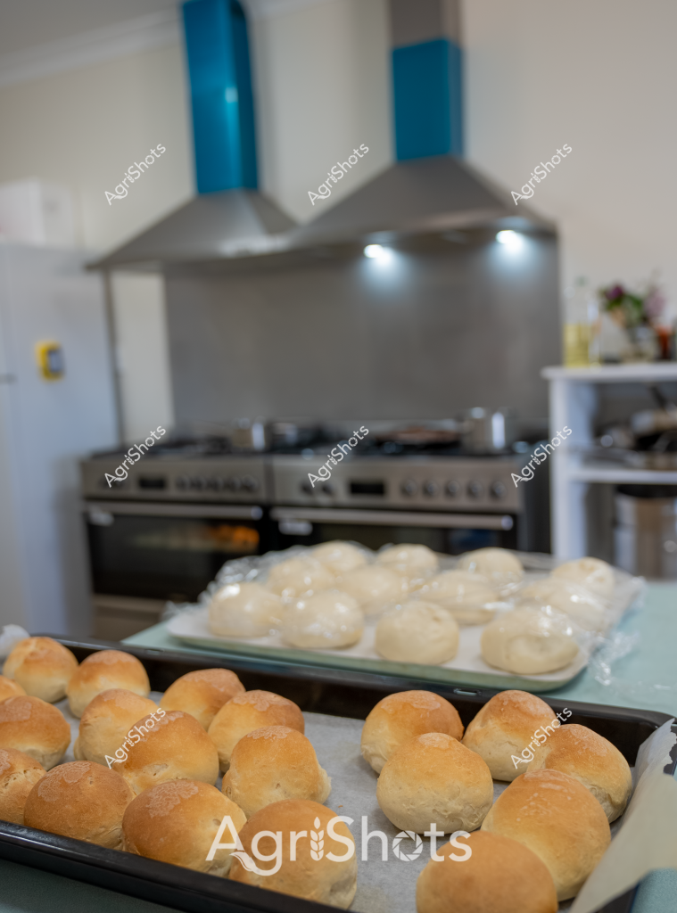 The image captures a classic kitchen scene of bread-making, featuring freshly prepared bread rolls at different stages of baking. In the foreground, a tray of golden-brown baked rolls sits ready, their surfaces glossy and evenly colored with a beautiful light amber crust. Behind them, another tray holds pale, unbaked dough rolls - smooth and round, waiting to transform in the oven.

The kitchen setting includes a professional stainless steel stove and dual exhaust hoods, suggesting a commercial or well-equipped home kitchen. The background is crisp and clean, with white walls and blue accent elements, creating a bright and organized cooking environment. The bread rolls appear to be artisan-style, likely hand-shaped and prepared with care, representing traditional baking techniques.

The composition highlights the bread-making process, showing the transformation from raw dough to perfectly baked rolls. The golden-brown rolls in the foreground demonstrate a skilled baker's technique - achieving an even color and glossy finish that indicates precise temperature and baking time. This scene could easily represent a professional bakery, a home cooking session, or a culinary training environment.

The careful arrangement of the trays, the consistent shape of the rolls, and the professional kitchen setting suggest a methodical and skilled approach to bread production, capturing the art and science of baking.