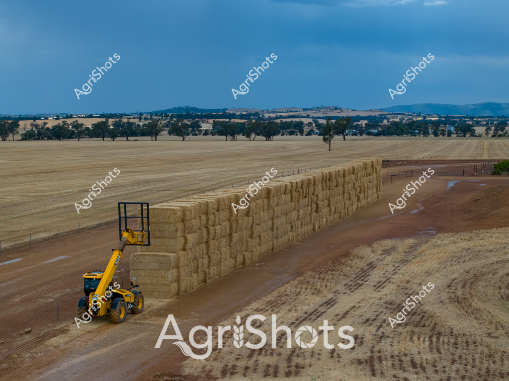 A yellow telescopic handler stands ready beside an impressive wall of rectangular hay bales in a broad, expansive Australian agricultural landscape. The machinery - a robust telehandler with elevated cab and telescopic boom - is positioned near a meticulously stacked hay storage area, demonstrating modern farming logistics. Scattered eucalyptus trees dot the golden-hued paddock stretching toward distant blue mountain ranges, creating a quintessential rural Australian vista of harvested farmland. The scene captures the scale of agricultural production, with neat dirt tracks framing the hay storage area and a wide-open horizon suggesting the immense agricultural spaces of regional Australia. Pale straw-colored hay bales are precisely arranged in a long, linear stack, highlighting the systematic approach to crop storage and farm management. The landscape suggests late summer or early autumn, with dry grasslands and a muted color palette typical of Australian agricultural regions.