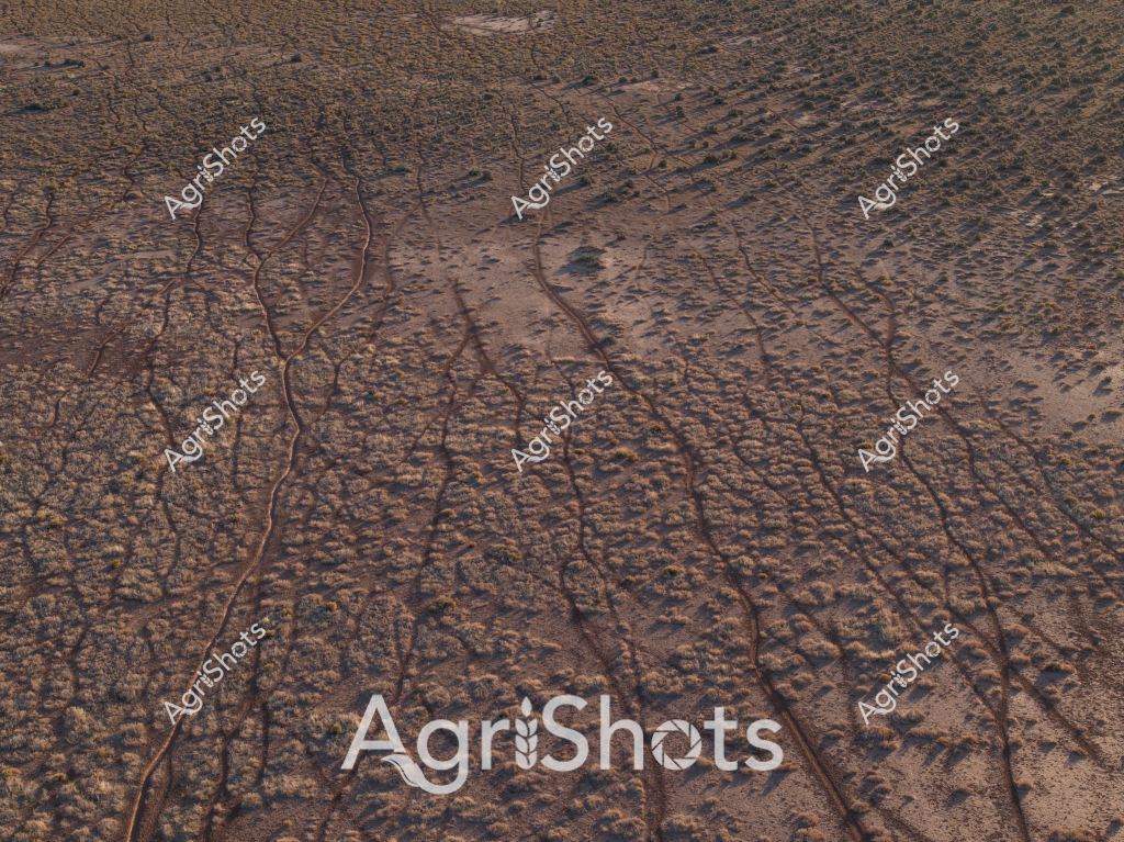 This image reveals a stark, drought-affected landscape characterized by cracked, parched earth with intricate patterns of dried mud and sparse vegetation. The terrain appears completely arid, with a textured surface of brown and reddish-tan tones creating a mosaic of deep cracks and weathered ground. Thin, serpentine lines trace across the landscape, likely dried-up water channels or erosion patterns, highlighting the extreme dryness of the environment. The ground looks heavily desiccated, with a tight, compressed texture that suggests prolonged lack of moisture. This aerial view captures the harsh reality of drought conditions, where the earth has been baked and fractured by intense heat and absence of rainfall, presenting a raw and unforgiving agricultural landscape typical of Australia's more challenging environmental regions.

The image powerfully illustrates the impact of drought on agricultural lands, showing how the ground becomes a network of interconnected cracks and dried-out surfaces, transforming what was once potentially fertile ground into a challenging terrain for farming and livestock management. The monochromatic palette of browns and tans emphasizes the severity of the environmental stress, serving as a stark visual document of the climate challenges faced by Australian farmers and land managers.