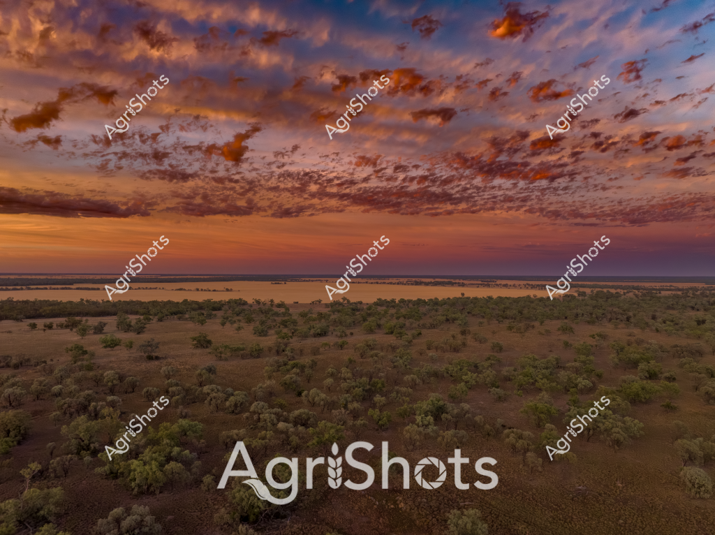 This breathtaking landscape captures a magnificent sunset over an expansive Australian rural terrain, with a spectacular cloudscape dramatically painting the sky in rich orange, purple, and deep blue hues. The foreground reveals a sparse woodland landscape with scattered green-grey trees dotting a dry, undulating terrain that stretches toward a distant horizon. Soft evening light bathes the landscape, creating a sense of serene vastness typical of Australia's interior regions. The clouds are particularly spectacular, with intricate textural patterns spreading across the sky in a dynamic, almost turbulent arrangement that suggests the dramatic atmospheric conditions of the continent's interior. In the far distance, a hint of water or flat terrain can be seen, providing a subtle boundary to the extensive landscape. The scene epitomizes the raw, untouched beauty of Australia's rural landscapes, showcasing the subtle color palette and expansive natural environments that characterize the country's inland regions.