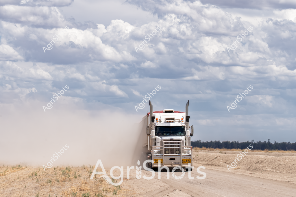 A powerful white Western Star truck kicks up a massive dust cloud as it travels along a dry, dusty rural road under a dramatic cloudy sky. The heavy-duty truck appears to be transporting agricultural goods across an arid landscape, with sparse grassland and distant treeline visible in the background. Thick, billowing cumulus clouds fill the sky, creating a moody atmospheric backdrop that emphasizes the harsh, dry conditions of the Australian outback. The truck's robust design and prominent vertical exhaust stacks suggest it's built for rugged long-distance transport across challenging rural terrain. The image captures the essence of Australian rural logistics and transportation, highlighting the resilience of both the vehicle and the landscape it traverses.