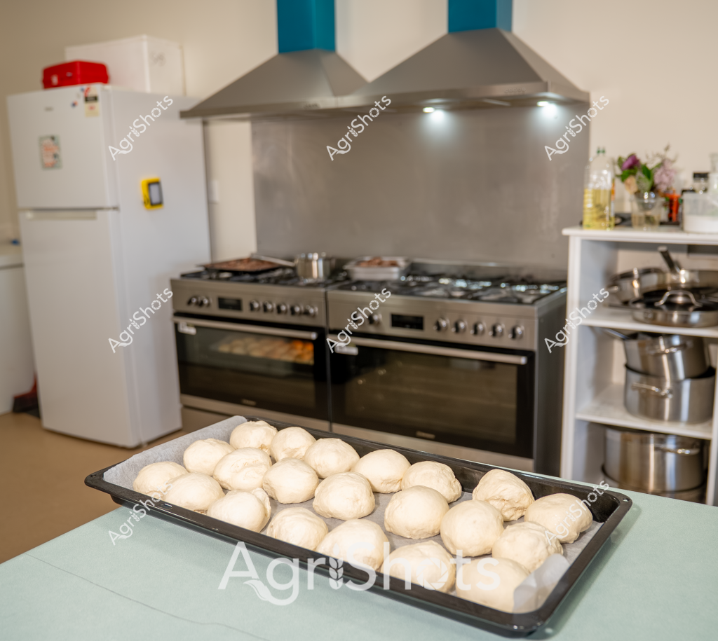 A professional kitchen scene captures a batch of freshly prepared bread dough resting on a large baking tray. Perfectly round, pale white dough balls are neatly arranged, waiting to rise and be baked. The background reveals a modern kitchen with a stainless steel stove, range hood, and white refrigerator, creating a clean and organized cooking environment. Multiple stainless steel cooking pots are visible on a shelf to the right, suggesting a well-equipped culinary workspace. The dough appears to be in the proofing stage, with each ball uniformly shaped and positioned, indicating careful preparation and attention to detail in the bread-making process. The soft, uniform color and smooth texture of the dough balls suggest they are likely made from high-quality flour, ready to be transformed into delicious bread.