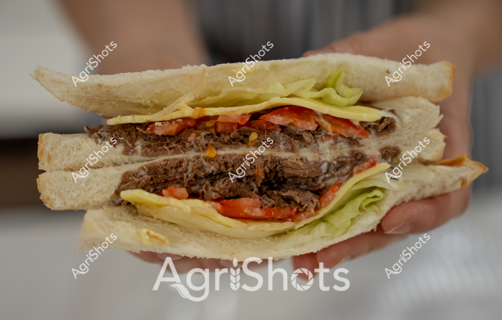 A hearty sandwich is captured in close-up, showcasing multiple layers of savory ingredients between soft white bread slices. The cross-section reveals tender, shredded meat with a dark, rich texture, complemented by fresh red tomato slices and crisp green lettuce leaves. Cheese appears melted between the meat layers, adding a creamy element to the robust sandwich. The bread looks soft and lightly toasted, with a pale golden-white color that provides a neutral backdrop for the vibrant fillings. The image is tightly framed, focusing on the sandwich's intricate layering and appetizing textures, suggesting a high-quality, carefully constructed meal typical of professional food photography.