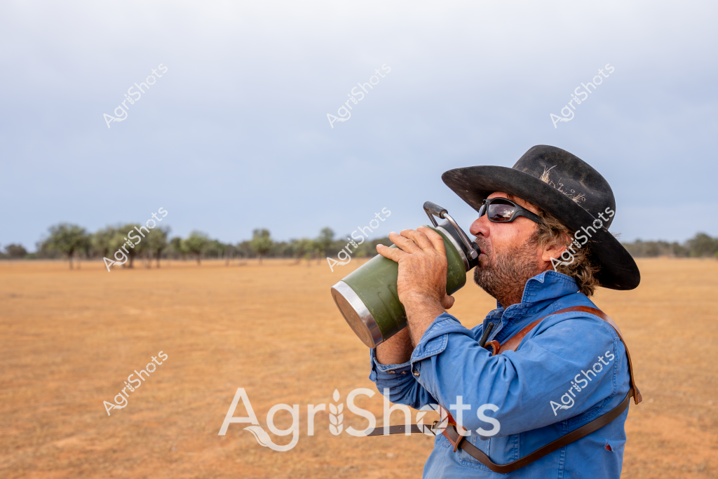 A man wearing a wide-brimmed black hat and blue work shirt drinks from a large green water bottle while standing in a dry, golden grassland. Wearing sunglasses and sporting a beard, he appears to be a rural worker or farmer taking a hydration break during what seems to be a hot, arid day. The landscape behind him features sparse trees on the distant horizon, with a flat, wheat-colored field stretching out to meet the pale, overcast sky. His rugged outdoor attire and posture suggest he is engaged in agricultural work, likely managing livestock or monitoring crops in a challenging drought-affected environment. The image captures the resilience of Australian rural workers who endure harsh environmental conditions while maintaining agricultural operations.