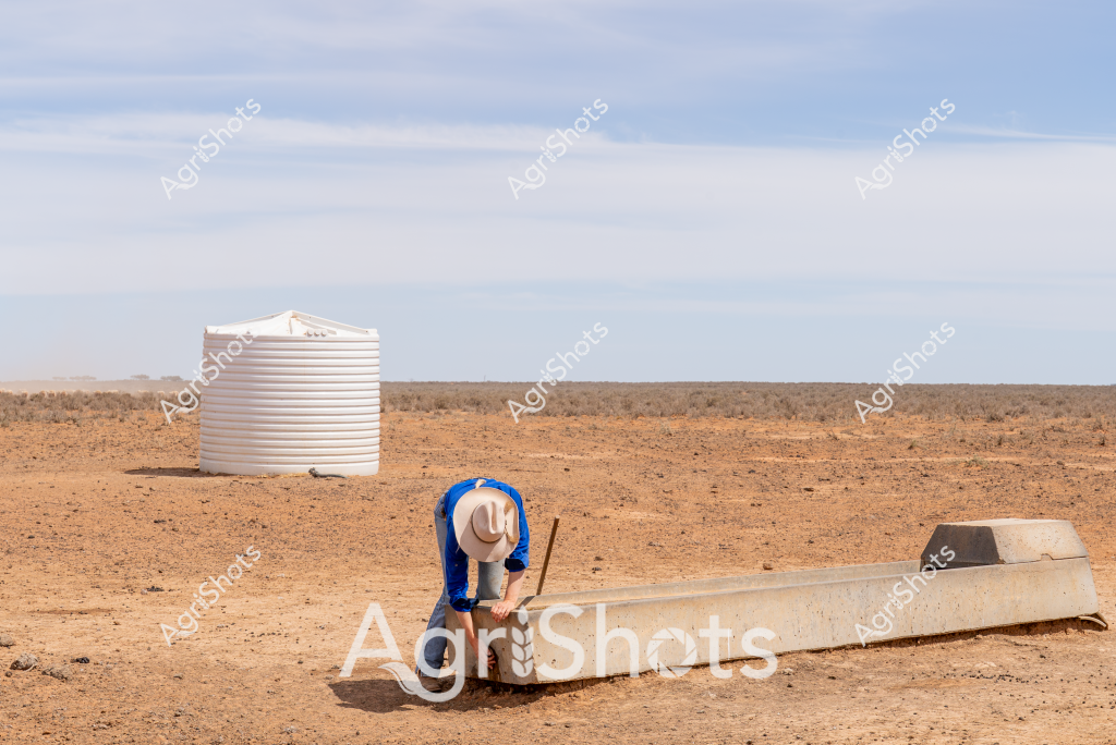 A man in a blue shirt and wide-brimmed hat bends over a concrete water trough in a sun-baked, arid landscape. The expansive paddock stretches to a distant horizon, with sparse, dry vegetation covering the reddish-brown earth. A large white water tank stands sentinel nearby, highlighting the critical importance of water infrastructure in this harsh, drought-affected environment. The scene captures the challenging conditions faced by farmers in rural Australia, with the lone figure working diligently to maintain essential water resources for livestock or agricultural needs. The pale blue sky and flat, open terrain emphasize the isolation and resilience required in such remote agricultural settings.