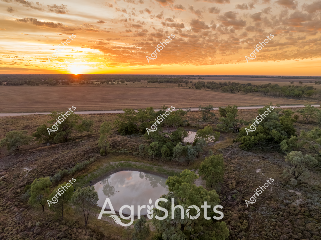 A breathtaking rural landscape captured at sunrise, featuring a serene farm dam surrounded by scattered eucalyptus trees and native bushland. The circular water body reflects the golden morning sky, creating a mirror-like surface amid the rugged, drought-affected terrain. Expansive agricultural fields stretch to the horizon, with plowed paddocks and tree lines defining the rural landscape under a dramatic cloudscape of orange and yellow hues. The early morning light bathes the scene in warm tones, highlighting the texture of the dry ground and highlighting the importance of water resources in this agricultural setting. A distant road winds through the landscape, providing a subtle human imprint on the otherwise natural environment. The image captures the quintessential Australian rural landscape - resilient, sparse, and strikingly beautiful in its simplicity.