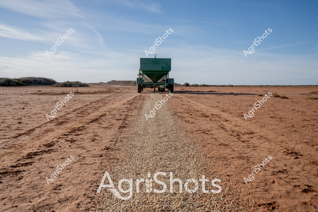 A green agricultural trailer sits alone on a dry, dusty landscape under a pale blue sky, creating a stark scene of agricultural isolation. The trailer, likely a grain or seed cart, is positioned centrally on a barren paddock with reddish-brown cracked earth stretching in all directions. Tire tracks lead away from the vehicle, suggesting recent movement across this arid terrain. The environment speaks to challenging drought conditions typical of Australian agricultural regions, where farmers must navigate harsh landscapes and limited water resources. The green of the trailer stands in sharp contrast to the monochromatic browns and tans of the surrounding landscape, symbolizing resilience and hope in an unforgiving environment. The image captures the solitude and determination inherent in Australian agricultural practice, where sophisticated equipment must operate in extreme and uncompromising conditions.