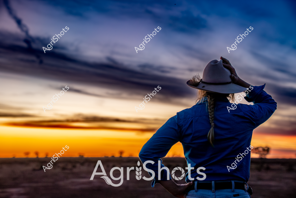 A woman stockman stands with her back to the viewer, gazing across a dramatic sunset landscape. She wears a deep blue jacket and a wide-brimmed hat, holding the hat's brim with one hand while surveying the expansive horizon. The sky blazes with vibrant orange and golden hues blending into deep blue and purple, creating a stunning backdrop of soft clouds and distant terrain. Her braided hair is visible beneath her hat, and her silhouette suggests a contemplative moment at the end of a long day on the land. The scene captures the quintessential Australian rural atmosphere - a moment of quiet reflection amidst the vast, open agricultural landscape, where the day's work meets the approaching evening.