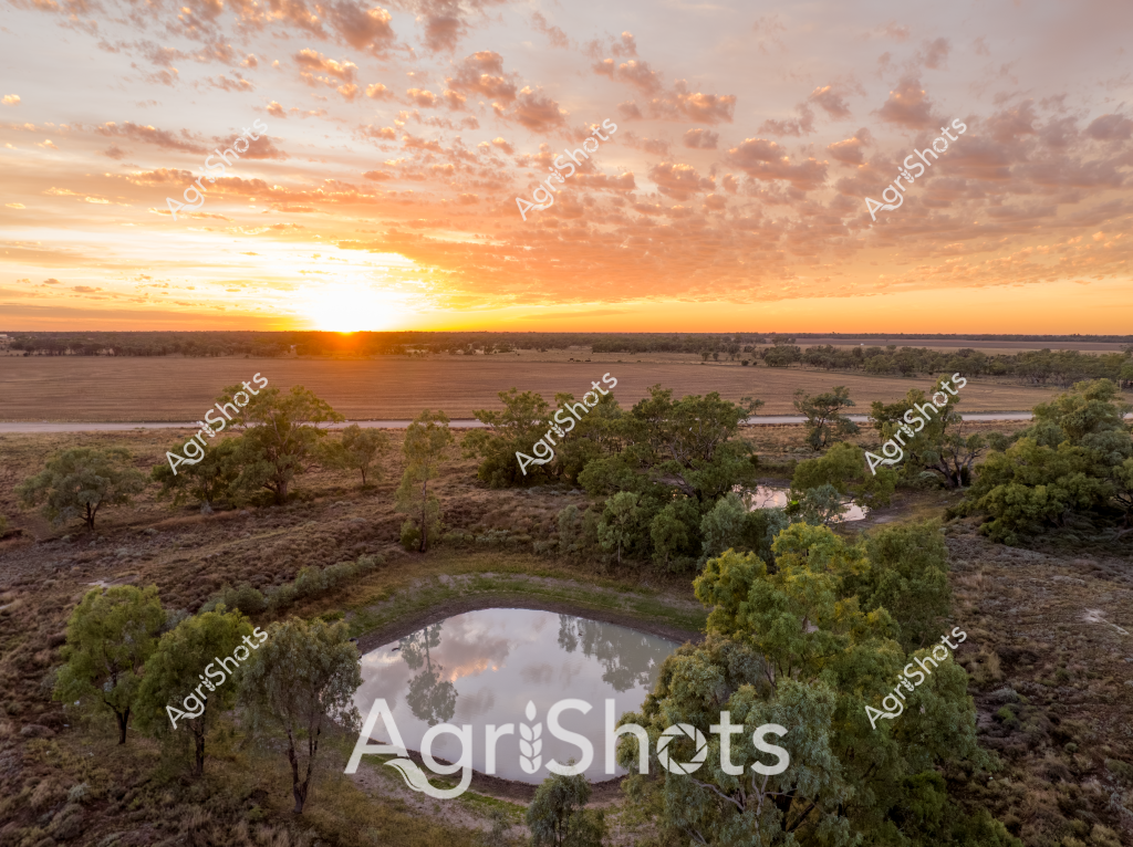 A stunning sunrise landscape captures a serene water dam nestled among scattered eucalyptus trees in a rural Australian paddock. The circular water body reflects the golden morning sky, surrounded by green trees and dry grassland, with cultivated agricultural fields stretching to the distant horizon. Soft, cloud-dappled skies in warm orange and yellow tones create a breathtaking dawn scene, with the sun's first rays breaking across the landscape. The image reveals the quintessential Australian rural environment - a carefully managed agricultural landscape where water resources are strategically positioned to support farming operations. Sparse trees frame the dam, providing natural shade and habitat while highlighting the careful land management practices of Australian farmers. The expansive view demonstrates the scale and beauty of agricultural landscapes, where functional water infrastructure meets the natural beauty of the Australian countryside.